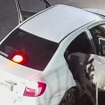 वेस्ट बोकारो के बंजी गांव&nbsp; से गाय की चोरी, सीसीटीवी में कैद हुई घटना